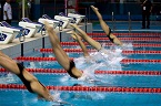 青奧游泳項目最后測試賽
