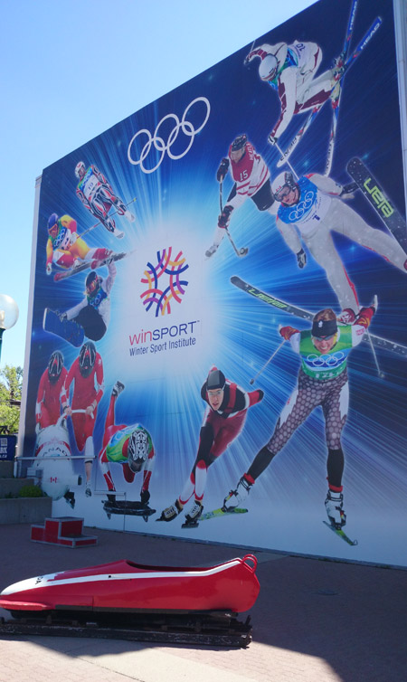 冬季運動宣傳畫前擺放的雪橇是當年參加冬奧會的選手所用的器材。