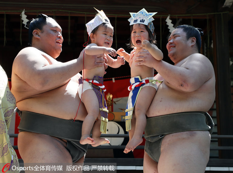 高清：日本辦"寶寶哭"相扑賽 嚎啕大哭隻為健康成長