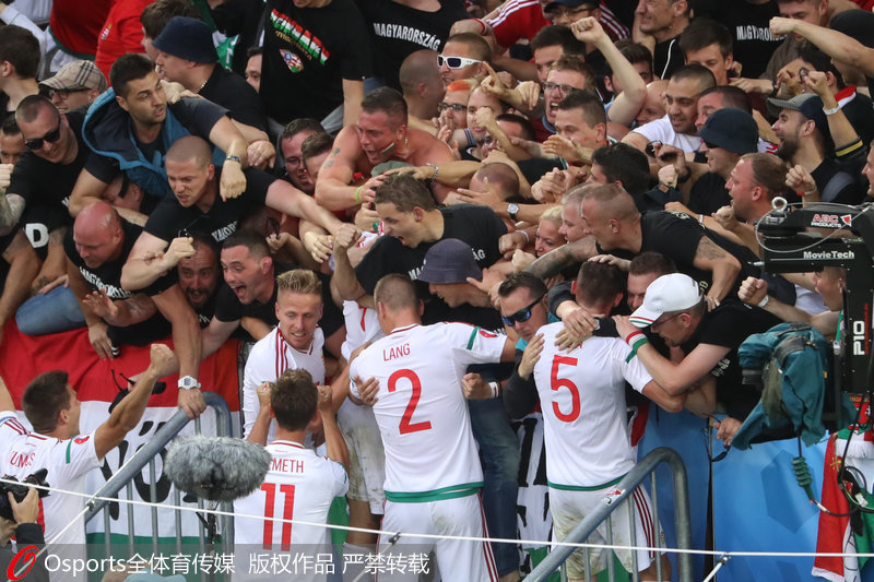 匈牙利進球后與看台上的球迷互動