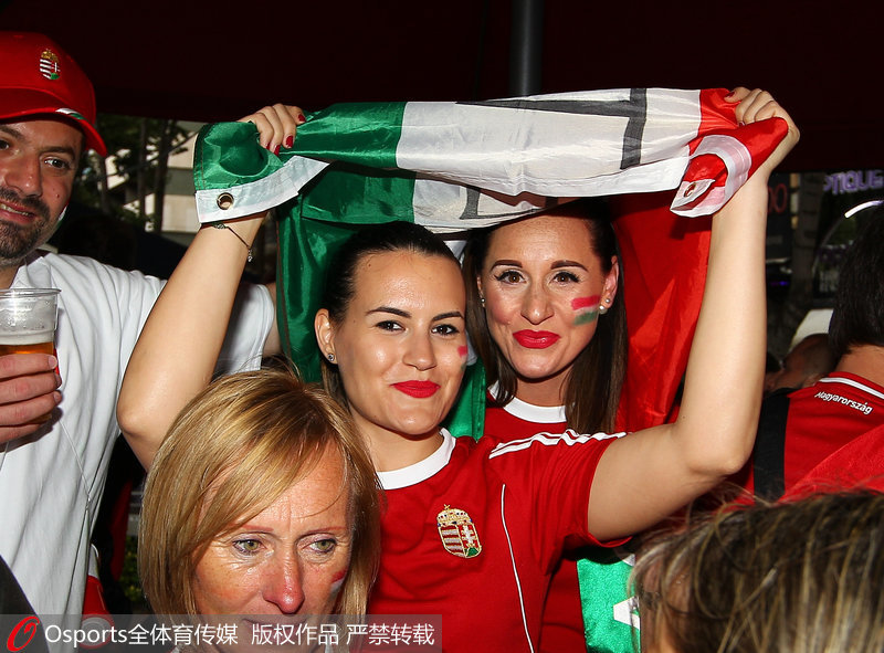 匈牙利美女球迷搖旗吶喊