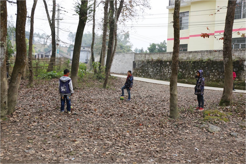 幾名孩子正在學校后的樹林裡踢球