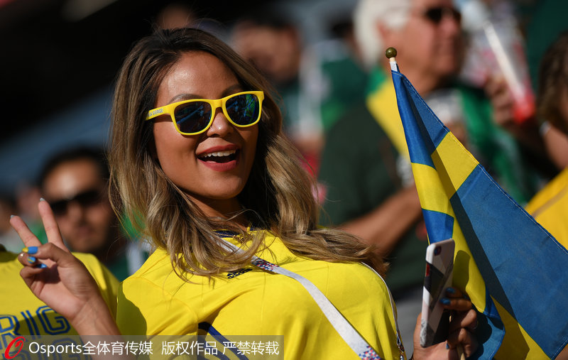瑞典球迷手舉旗幟