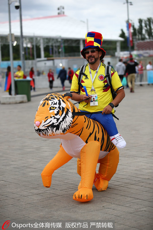 哥倫比亞球迷帶“寵物”觀賽