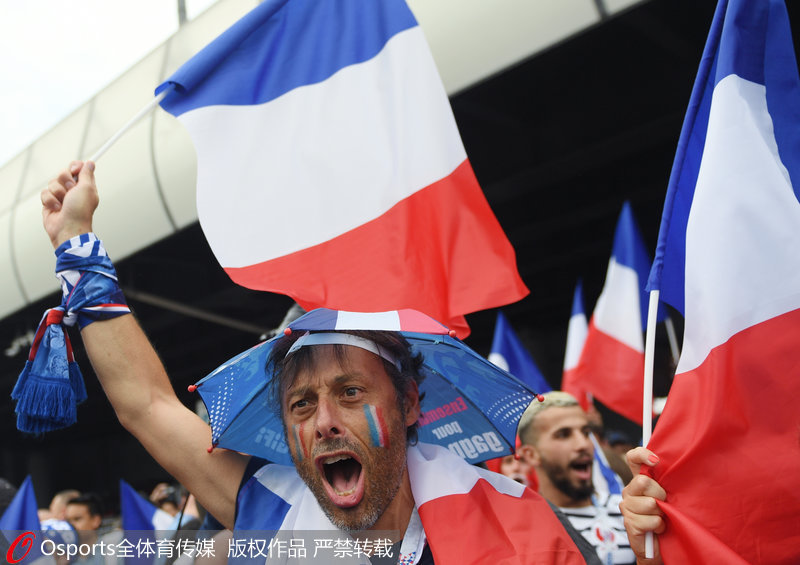 法國球迷激動的揮舞旗幟