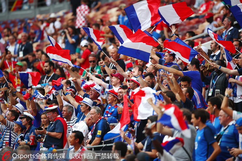 法國球迷集體激動揮舞旗幟