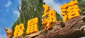 武汉首家户外森林亲子乐园―松鼠部落