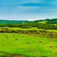 内蒙古旅游:呼伦贝尔大草原                            呼伦贝尔大草原一般指位于呼伦贝尔市西部的呼伦贝尔草原，是世界著名的天然牧场，是世界四大草原之一，被称为世上最好的草原。