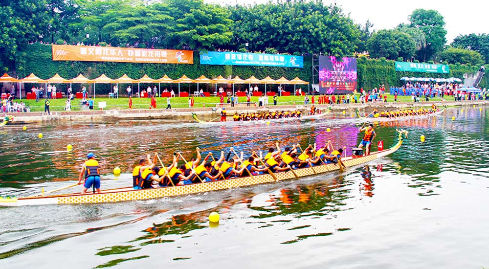 龍華印象：觀瀾河上的龍舟賽事