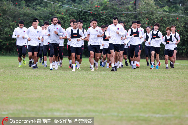 2019年初，權健集團發生變故，天津權健更名為天津天海足球俱樂部。