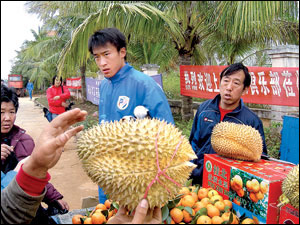 球员带火海口基地水果摊 北京上海购买力最强