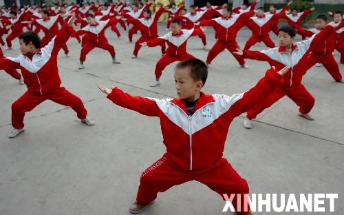 [组图]传承八极拳 申报非物质文化遗产 (5)