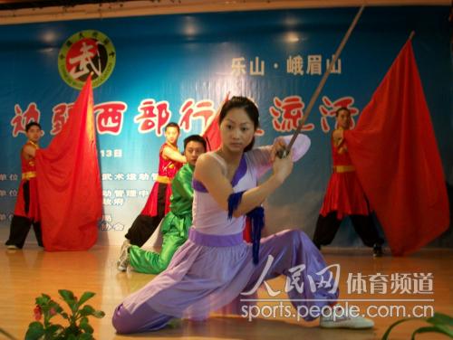 [组图]武术名家与峨眉武术传人切磋 (3)